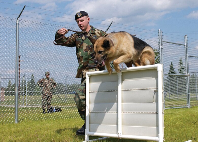 EIELSON AIR FORCE BASE, Alaska--Staff Sgt. Robert Wilson, 354th Security Forces Squadron military working dog handler, runs Iro though the confidence course at the MWD facility. The confidence course is one of the training tools used to prepare the working dogs for real-life situations. (U.S. Air Force Photo by Senior Airman Rachel Walters)