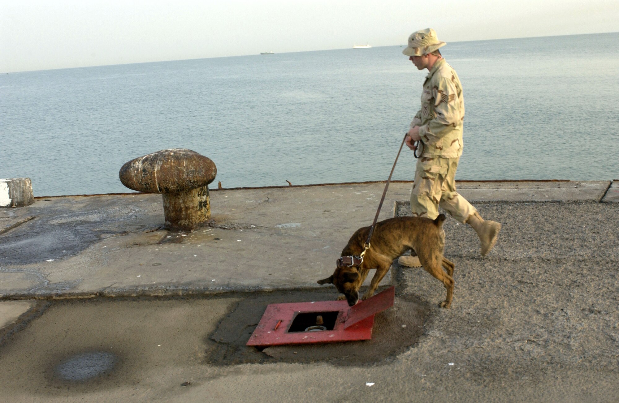 Staff Sgt. David Helmbrecht walks with his military working dog Borek for a sweep of Pier 11 in Djibouti City, Djibouti, on July 15. The team was checking for explosives before the arrival of the USNS Saturn, which was docking for fuel and supplies. Sergeant Helmbrecht and Borek are deployed from Grand Forks Air Force Base, N.D. (U.S. Navy photo/Mass Communication Spc. 2nd Class Roger S. Duncan)