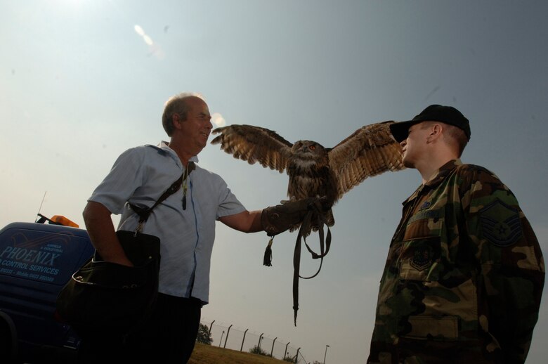 Twinkle, a 19-year old European eagle owl, stretches her five-foot wings for owner Keith Mutton and Master Sgt. Bob Kopecky at Royal Air Force Mildenhall, on July 27. Mr. Mutton owns and operates Phoenix Bird Control Services, a company helping the base run its bird aircraft strike hazard program. The aim is to rid the base of birds that pose bird strike problems for aircraft operating from there. The sergeant, from White Bear Lake, Wisc., is NCO in charge of flight safety for the 100th Air Refueling Wing. Mr. Mutton uses the seven-pound owl to chase away birds that set down at the base at night. (U.S. Air Force photo/Master Sgt. Lance Cheung)