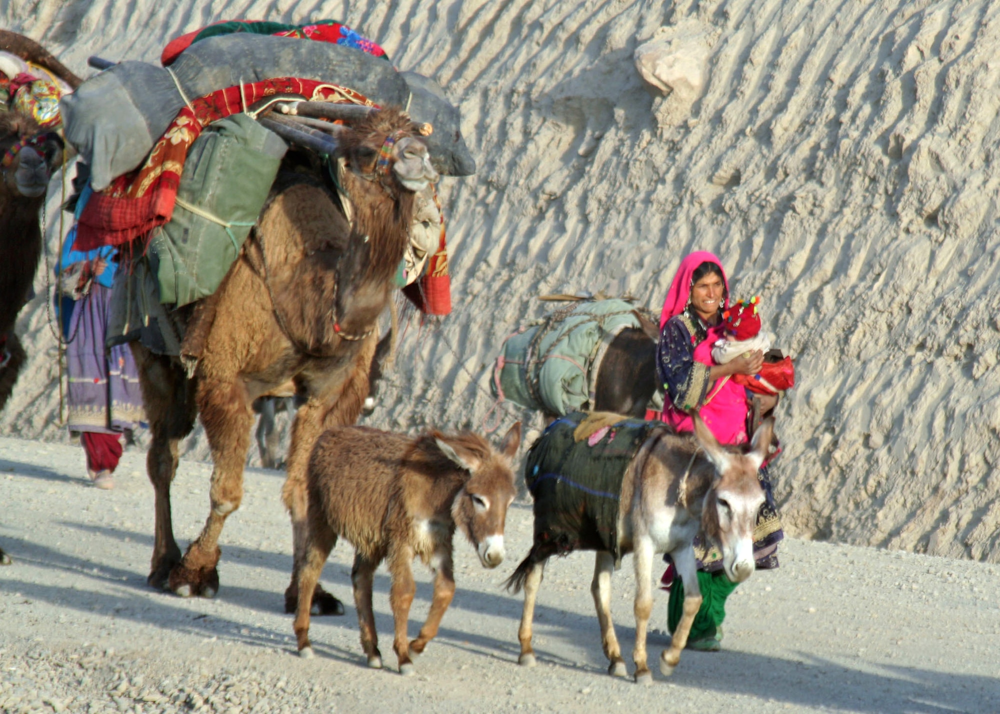 The nomadic Kuchi people migrate through the Panjshir Valley in Afghanistan, on Wednesday, May 17, 2006. Part of a Medical Civic Action Program, Provincial Reconstruction Team members provide treatment for Kuchi families as they move their sheep, goats, donkeys, camels and cattle to the high country for the summer. (U.S. Air Force photo/Tech. Sgt. John Cumper)
