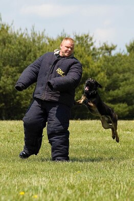 Tech. Sgt. David Haupt and Military Working Dog Bico, 436th Security Forces Squadron, during a public military working dog display near the Base Exchange May 16. The Security Forces Squadron hosted Dover AFB's National Police Week activities, which took place May 13 - 20. 