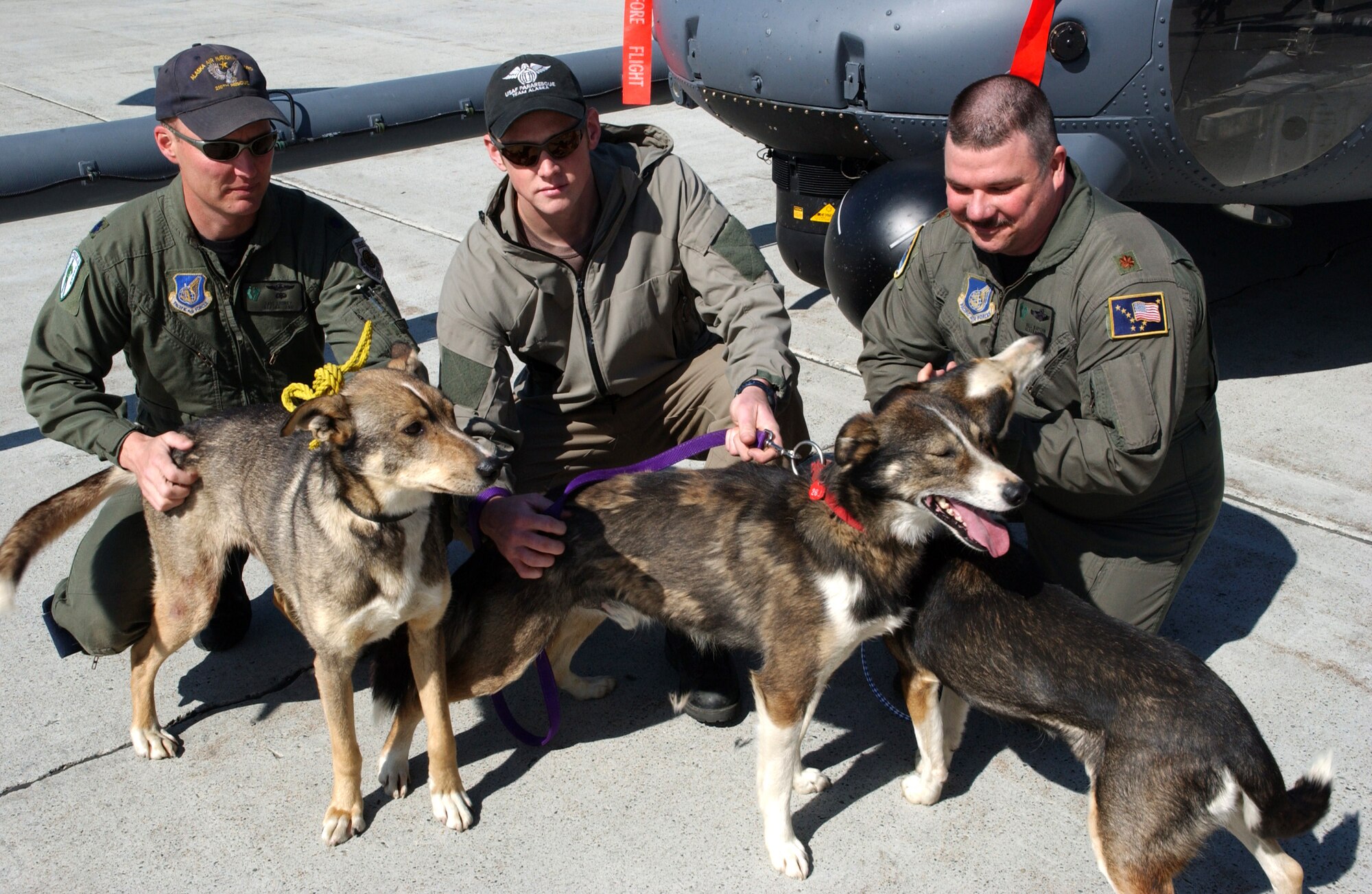 (From left) Lt. Col. Dave Looney, Staff Sgt. Mike Sullivan and Maj. Bill Kupchin accept thanks on Thursday, June 1, 2006, from three of the 89 dogs they rescued during the Yukon Quest International Sled Dog Race in February. The dogs and six mushers were stranded at Eagle Summit during a snowstorm. Colonel Looney and Sergeant Sullivan are with the Alaska Air National Guard's 176th Wing at Kulis ANG Base in Anchorage.  Major Kupchin is commander of Det. 1 of the 210th Rescue Squadron at Eielson Air Force Base, Alaska. (U.S. Air Force photo)