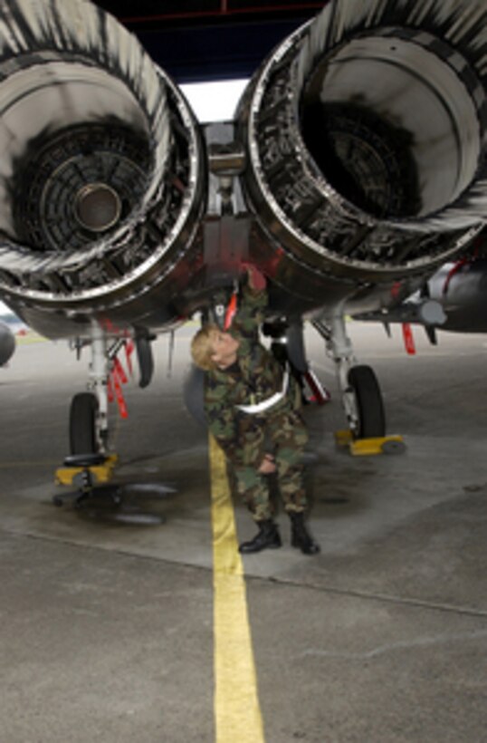 U.S. Air Force Staff Sgt. Kimberly Nickerson performs preflight inspections, cleaning and maintenance on an F-15 Strike Eagle aircraft during an operational readiness inspection at Portland Air National Guard Base, Ore., on June 13, 2006. Nickerson is assigned as a crew chief with the 142nd Aircraft Maintenance Squadron. 