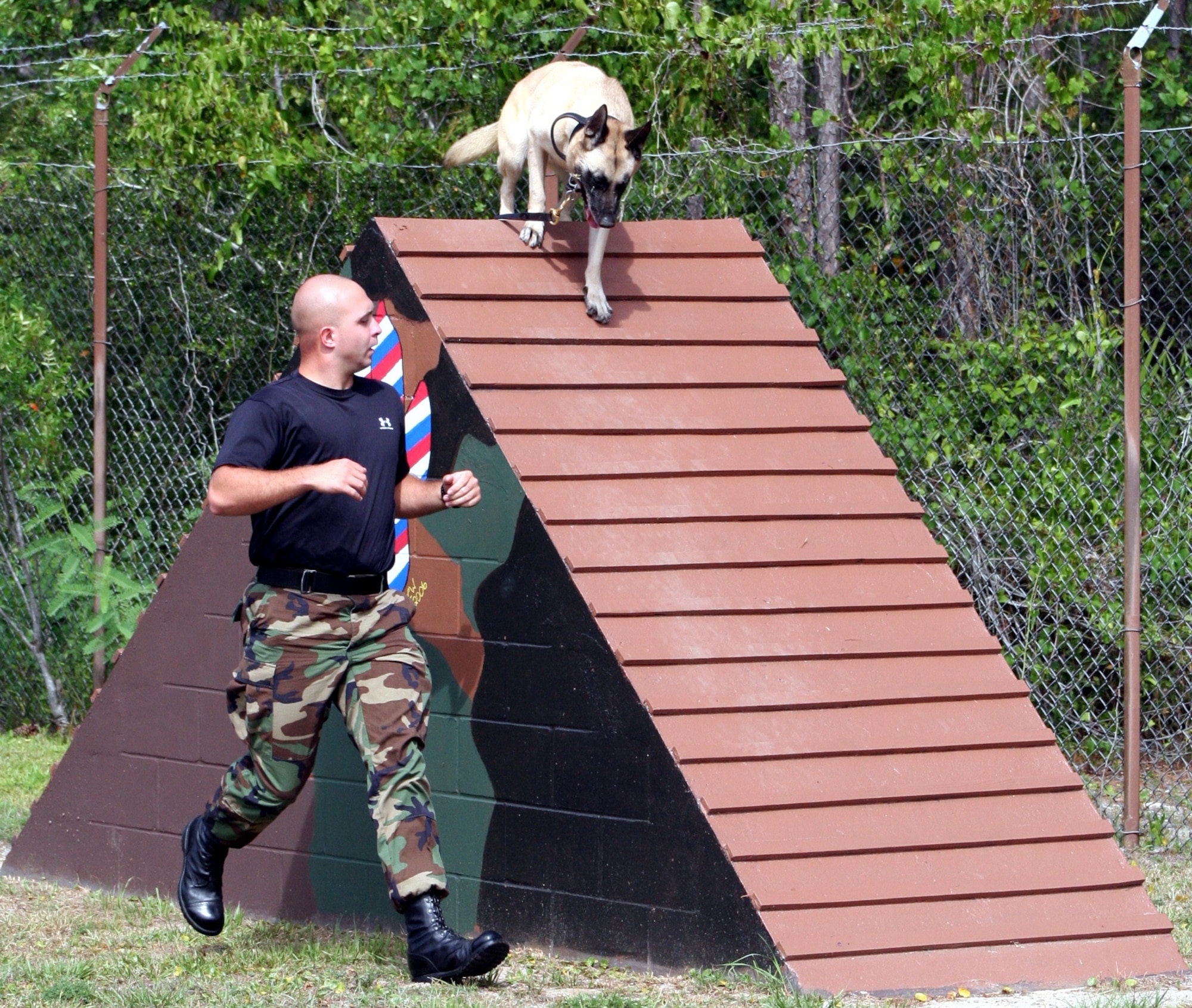 Staff Sgt. George Shepherd, 16th Security Forces Squadron K-9 handler, runs Sarah, a 7-year-old Belgian malinios, through an obedience course at the military working dog facility.  Although Sarah is the smallest MWD here, she is the fastest and the hardest hitting.