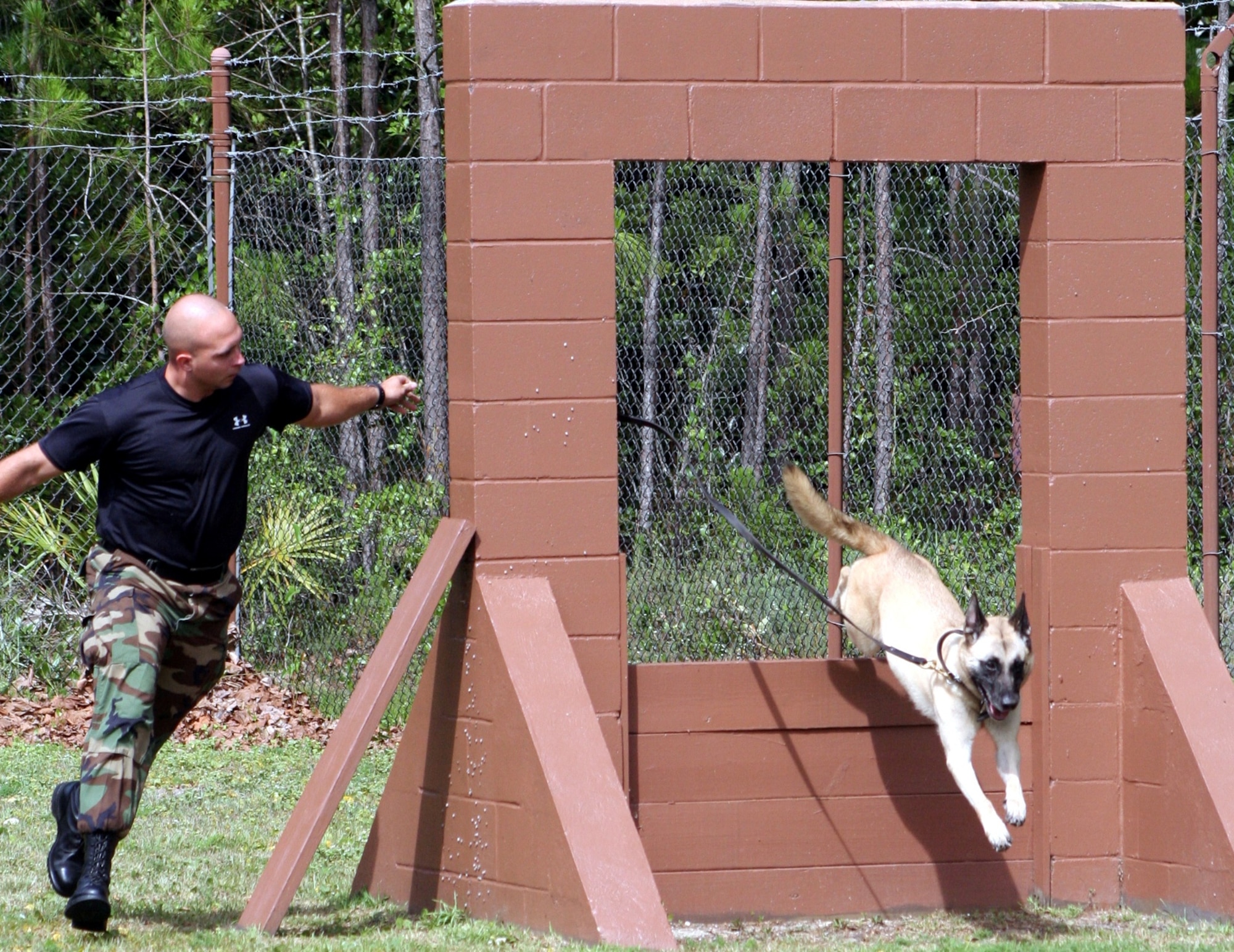 Staff Sgt. George Shepherd, 16th Security Forces Squadron K-9 handler, runs Sarah, a 7-year-old Belgian malinios, through an obedience course at the military working dog facility.  Although Sarah is the smallest MWD here, she is the fastest and the hardest hitting.