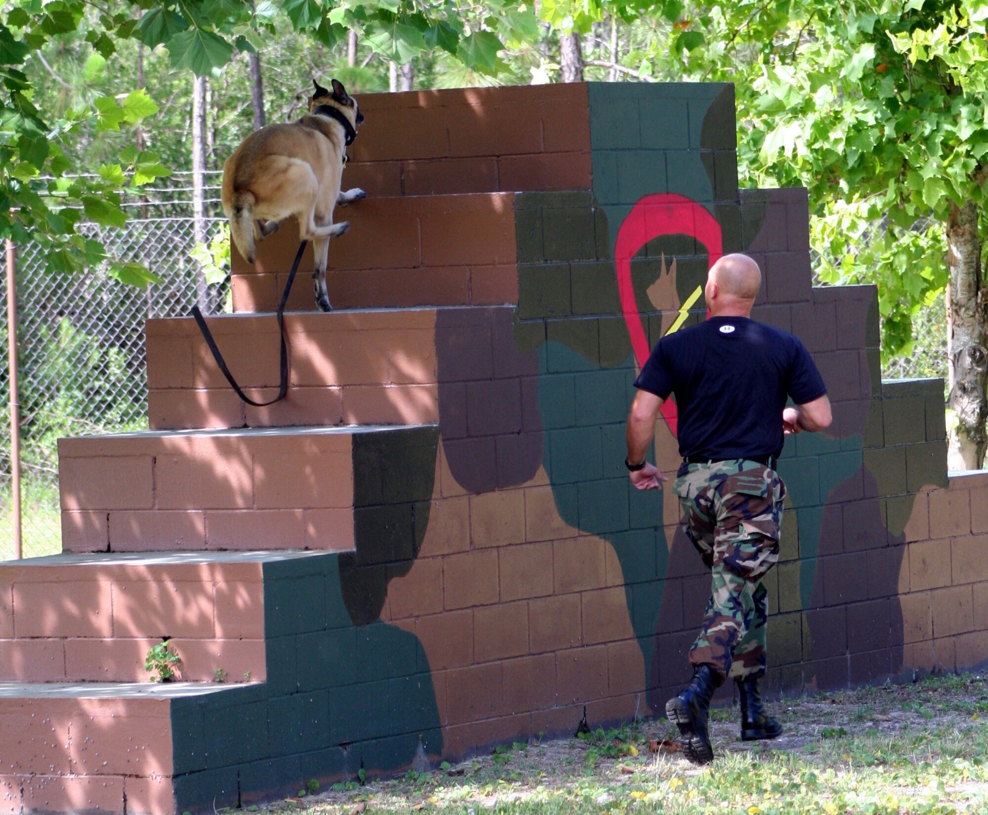 Staff Sgt. George Shepherd, 16th Security Forces Squadron K-9 handler, runs Sarah, a 7-year-old Belgian malinios, through an obedience course at the military working dog facility.  Although Sarah is the smallest MWD here, she is the fastest and the hardest hitting.