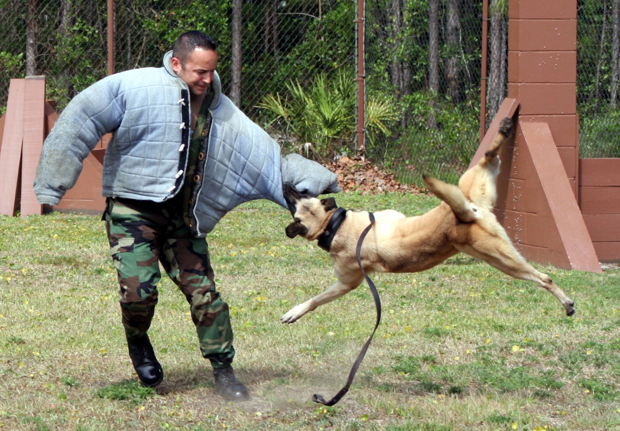 (Left to right) Sergeant Shepherd prepares to release Sarah after commanding her to attack Staff Sgt. Bob Weigold, 16th SFS K-9 trainer.