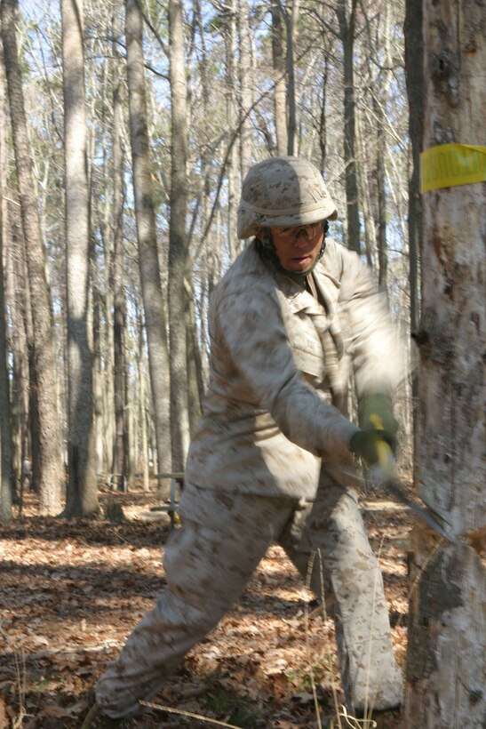 Marines from the Marines Expeditionary Unit Service Support Group-24, Chop down trees with axe's on March 3, 2006. MSSG-24 is the support element of the 24th Marine Expeditionary Unit, which is currently conducting Training in Urban Environment Exercise. (U.S. Marine Corps Photo by Lance Corporal Joshua Lujan)::n::::n::