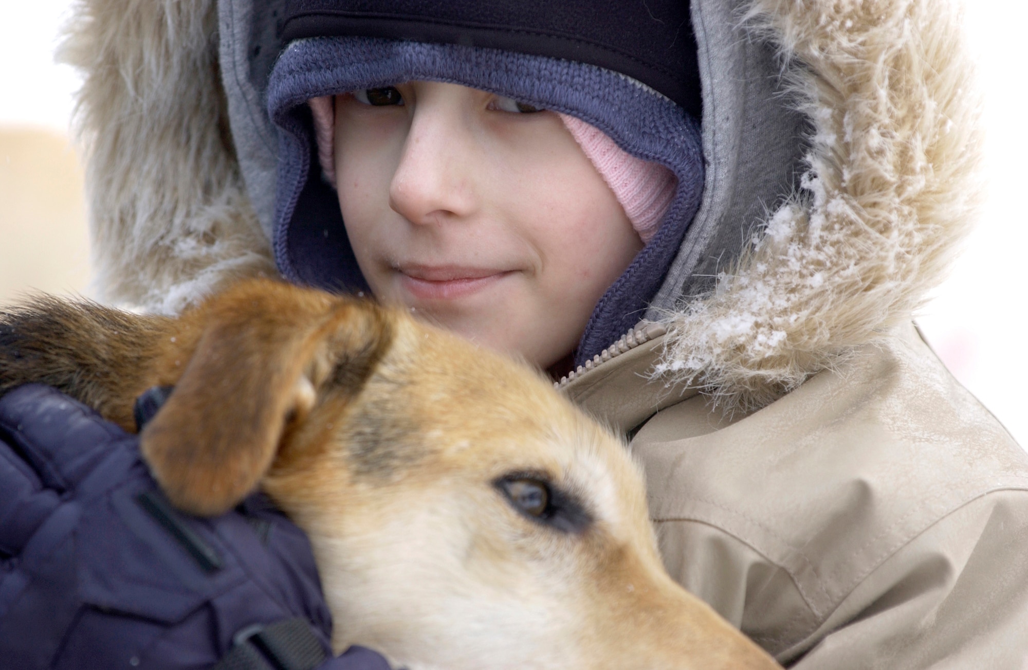 Ten-year-old Katie Powell pets Boomerang, one of Maj. (Dr.) Thomas Knolmayer's sled dogs, before riding with the doctor on his final training run before the start of the 2006 Iditarod Sled Dog Race. Katie is the daughter of Senior Master Sgt. Chris Powell of Travis Air Force Base, Calif., and is suffering from Ewing's Sarcoma, a rare bone cancer. (U.S. Air Force photo/Tech. Sgt. Keith Brown)