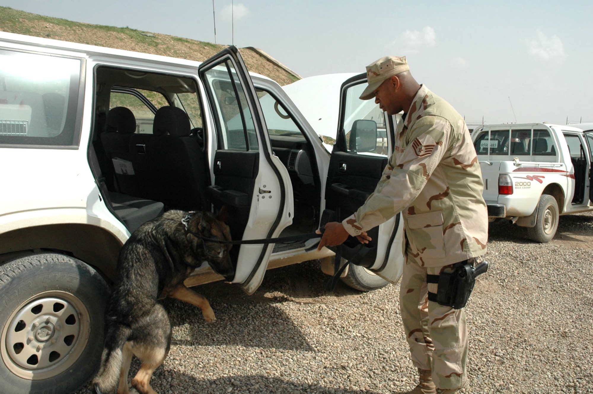 Staff Sgt. Ethan McCants puts Edo through a search exercise at Kirkuk Air Base, Iraq. His reward for a job well done is his favorite ball. Sergeant McCants and military working dog Edo are assigned to the 506th Expeditionary Security Forces Squadron here. (U.S. Air Force photo/Staff Sgt. Kristina Barrett)

