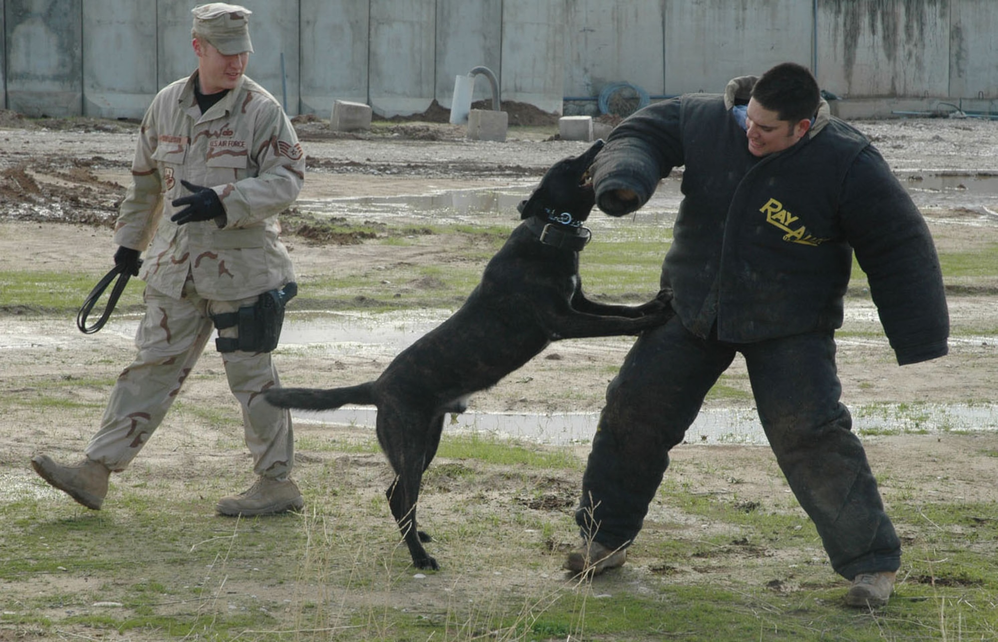 Staff Sgt. Dewan Rakesh feels the bite of military working dog Breston. Staff Sgt. Clinton Cornelison lets Breston enjoy the bite before calling him off. Sergeants Rakesh and Cornelison and Breston are assigned to the 506th Expeditionary Security Forces Squadron at Kirkuk Air Base, Iraq. (U.S. Air Force photo/Staff Sgt. Kristina Barrett)