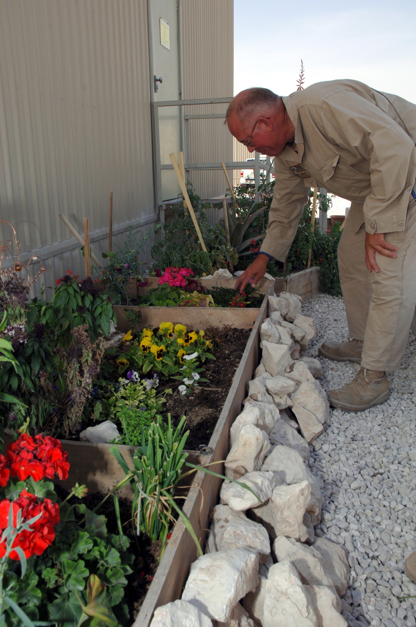 Bruce Neihart, a contractor at a deployed location in Southwest Asia checks the growth of his side project -- a mini garden with flowers, herbs, and tomatoes Wednesday, Mar. 8, 2006. He is well known for his tomatoes and other veggies sprouting up here in the desert.  Mr. Neihart is with the 379th Expeditionary Logistics Readiness Squadron.  (U.S. Air Force photo/Staff Sgt. Joshua Strang) 