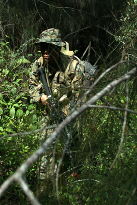 -- Lance Cpl. Joseph Salgado, a rifleman with Golf Company, Battalion Landing Team 2/5, a native of East Aurora, Ill, scans the jungle looking for possible threats during a weeklong patrolling training package at the beginning of the 15th MEU's scheduled