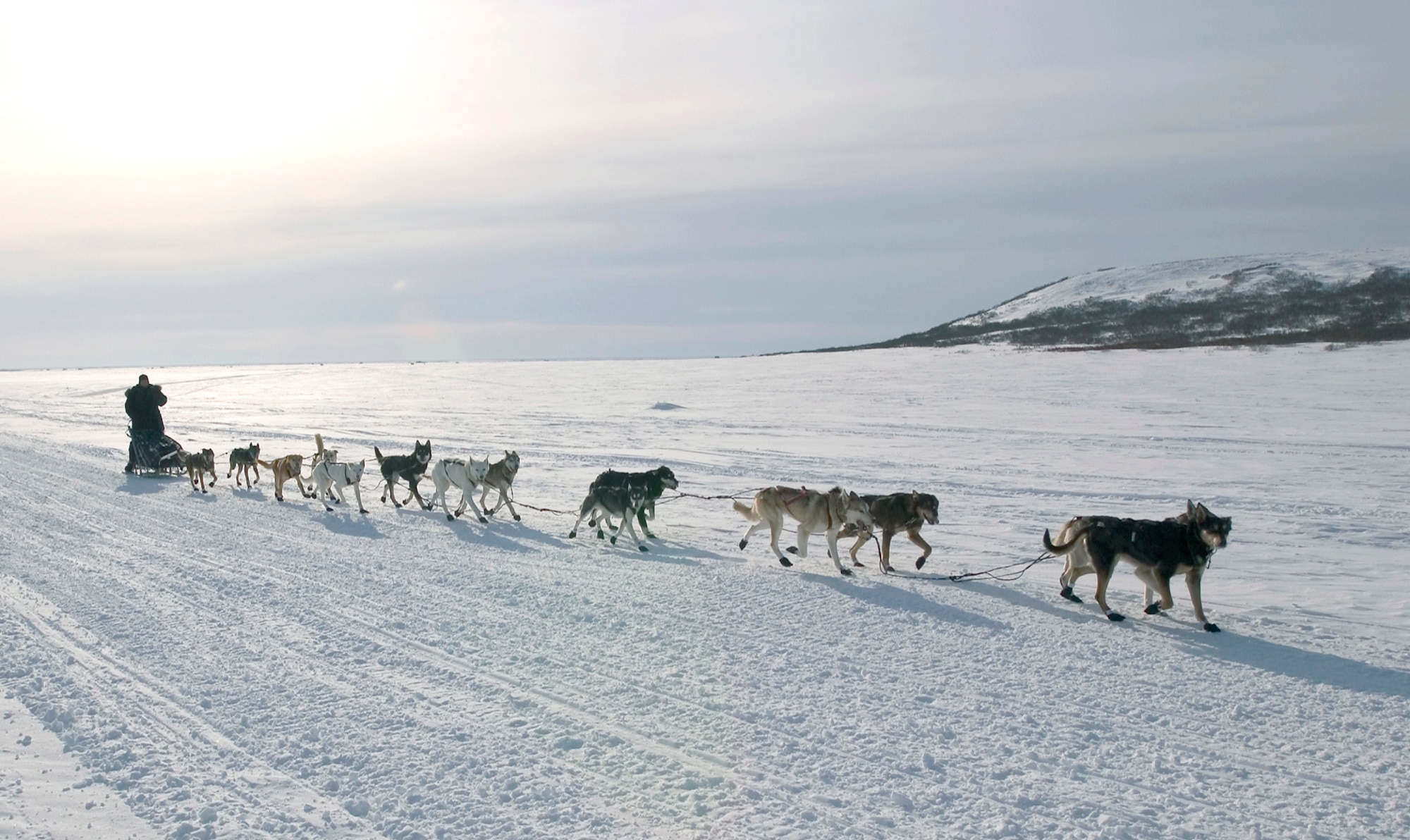 Maj. (Dr.) Thomas Knolmayer and his sled dog team cover the last 16 miles of the 2006 Iditarod Sled Dog Race in Nome, Alaska, Friday, March 17, 2006. Doctor Knolmayer finished the 1,150-mile race across Alaska in 11 days, 22 hours and 13 minutes, bettering his time from last year by 47 hours. He is chief of surgery at the 3rd Medical Group at Elmendorf Air Force Base, Alaska. (U.S. Air Force photo/Tech. Sgt. Keith Brown)