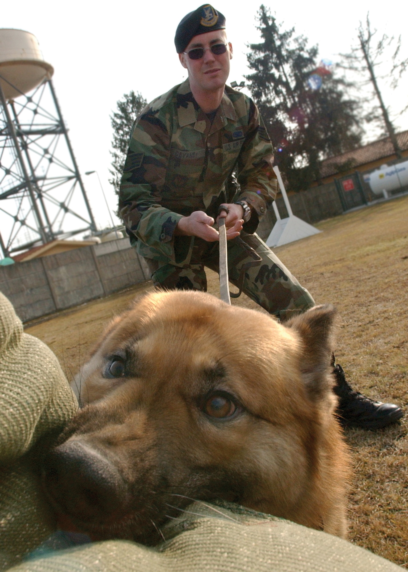 Staff Sgt. Justin Devaney, 31st Security Forces Squadron, instructs Nico to attack someone wearing a bite suit. The bite suit is made to withstand a more advanced bite without hurting the person in the suit. During “bite work,” the dogs are trained to attack when necessary.