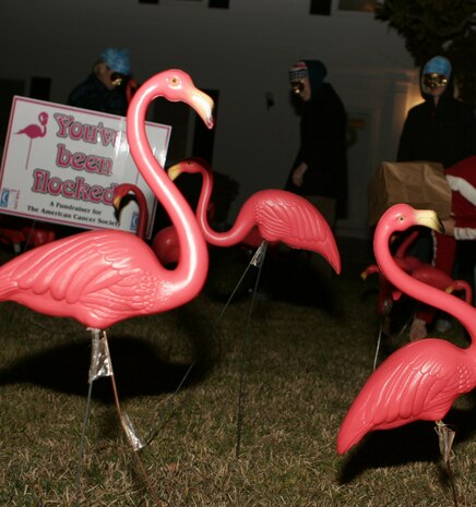 Maj. Michael S. Reed, Marine Medium Helicopter Squadron 365 (Reinforced) operations officer, guides a discussion of Mark Bowden?s ?Blackhawk Down? during a professional military education class March 24.  HMM-365 (Rein.) is currently participating in an Expeditionary Strike Group Exercise and is scheduled to deploy to the European and Central Command theaters of operations.