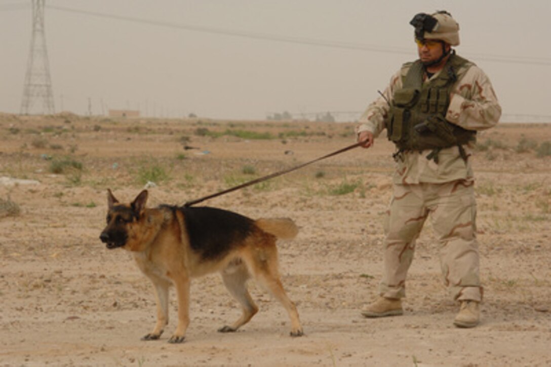 U.S. Air Force Staff Sgt. Jorge Davila and his military working dog Kibo stand at the ready at a traffic control point in Tikrit, Iraq, on April 22, 2006. Davila is attached to 3rd Battalion, 320th Field Artillery Regiment, 101st Airborne Division. 
