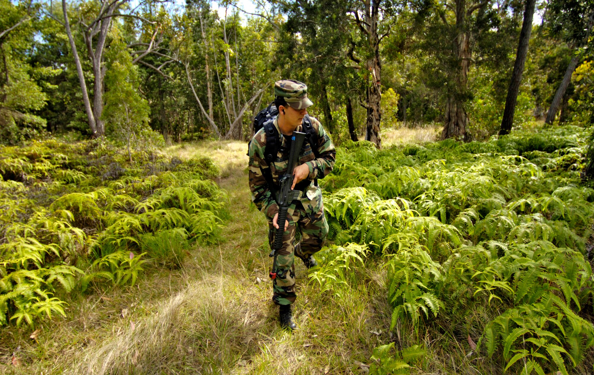Senior Airman Ryan Gentzler, acting as an "aggressor," scans for students going through a ground survival refresher course at Schofield Barracks, Hawaii, on Thursday, May 4, 2006. The course provides realistic training for aircrew members and concentrates on the principles, techniques and skills necessary to survive in any environment. Airman Gentzler is with the 15th Civil Engineering Squadron at Hickam Air Force Base, Hawaii. (U.S. Air Force photo/Tech. Sgt. Shane A. Cuomo) 
