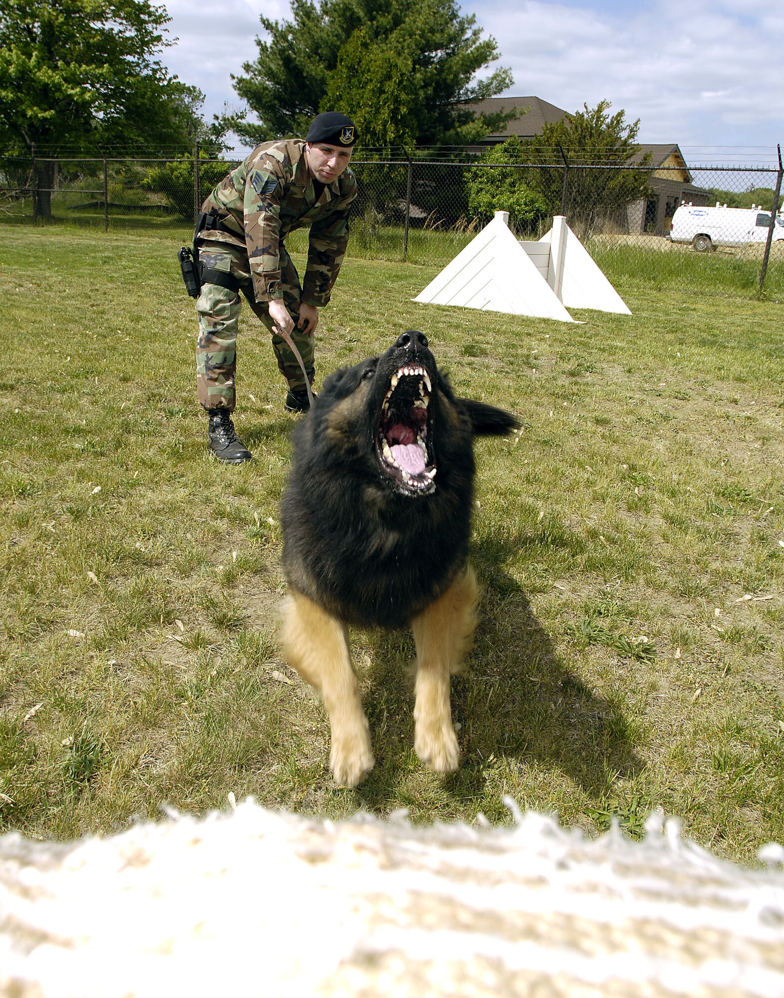 Staff Sgt. Stephen Upton releases Cezar to "attack" during a training session on May 10, 2006.  Sergeant Upton is a dog handler with the 305th Security Forces Squadron at McGuire Air Force Base, N.J.  Cezar is a four-year-old military working dog specializing in explosive detection and patrol.   (U.S. Air Force photo/Kenn Mann)