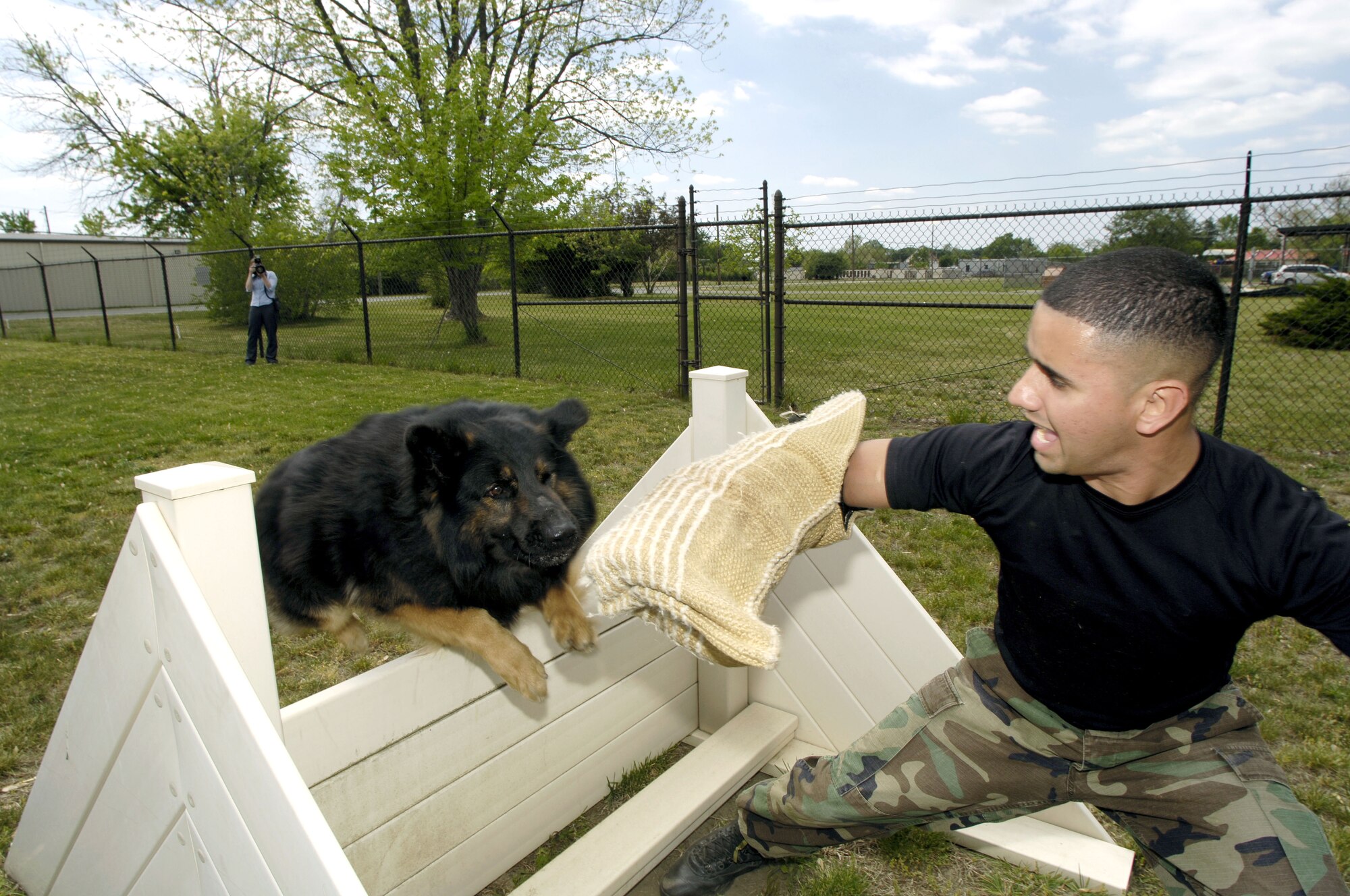 Cezar "attacks" Staff Sgt. Brian Aponte during a training session on May 10, 2006.  Sergeant Aponte is a dog handler with the 305th Security Forces Squadron at McGuire Air Force Base, N.J.  Cezar is a four-year-old military working dog specializing in explosive detection and patrol.   (U.S. Air Force photo/Kenn Mann)