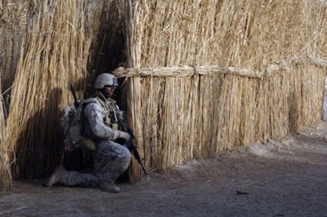 U.S. Marine Corps Cpl. Julius Mitchell scans the area while on patrol in Ramadi, Iraq, on May 13, 2006. Mitchell is attached to the 2nd Air Naval Gunfire Liaison Company. 