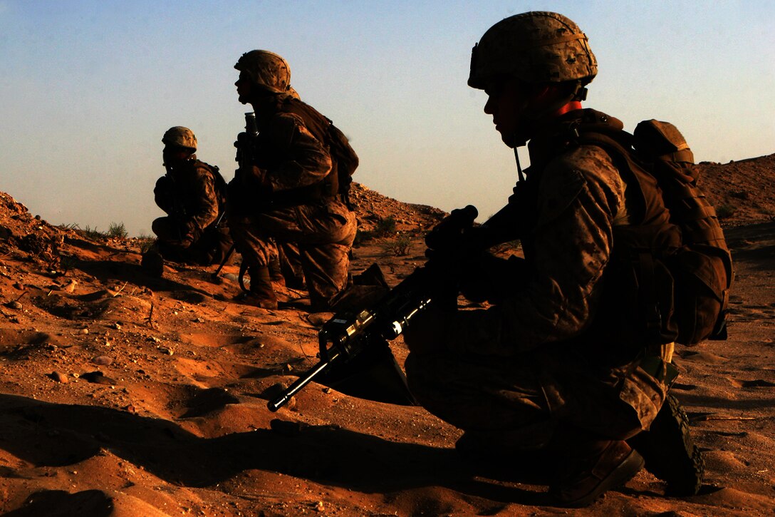 Marines with Golf Company, Battalion Landing Team 2/5 seek cover during an assault on a fixed position during live-fire training in the wide-open desert outside Camp Buehring, Kuwait.  ::r::::n::   Golf Company, BLT 2/5, 15th MEU took advantage of the wide-open desert of Northern Kuwait to conduct training which is impossible on board the confines of USS Peleliu (LHA 5) with grenades, close quarters combat and rocket fire.::r::::n::   The Camp Pendleton, Calif. based 15th MEU is comprised of approximately 2,200 Marines and Sailors and is a forward deployed force of readiness capable of conducting numerous operations, such as Non-Combatant Evacuation Operations, Humanitarian Assistance Operations and a wide range of amphibious missions. ::r::::n::   The 15th MEU is currently conducting sustainment training at Camp Buehring, Kuwait. (Official USMC photo by Lance Cpl. Timothy T. Parish) (Released)
