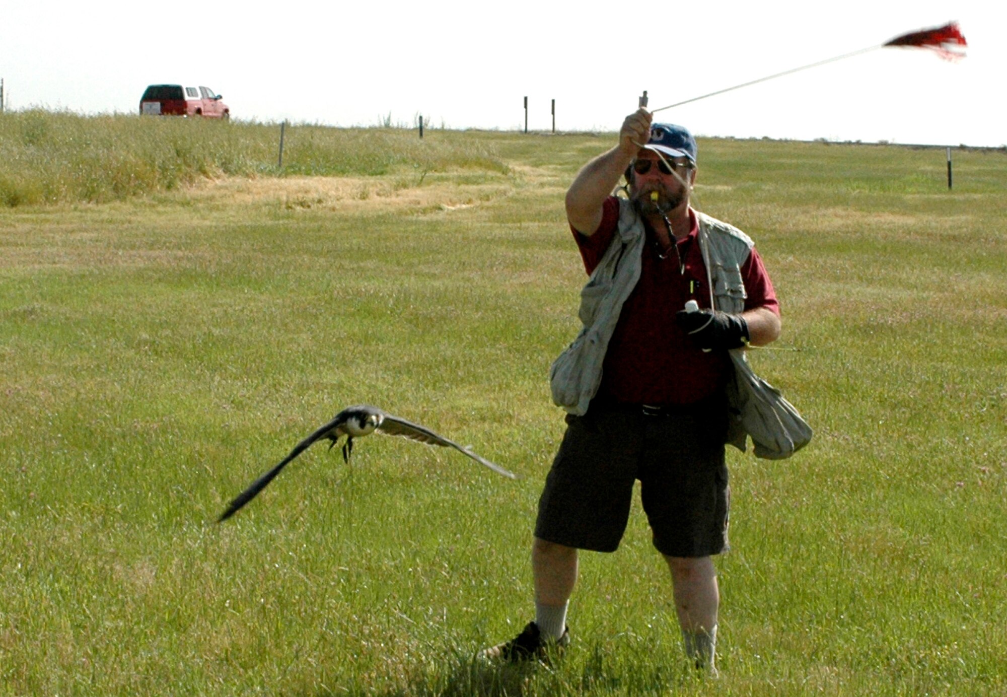 Mr. Greg Burdick practices with his falcon, Austin. Falconers start training their birds at one month of age.  (U.S. Air Force photo by Staff Sgt. Raymond Hoy)

