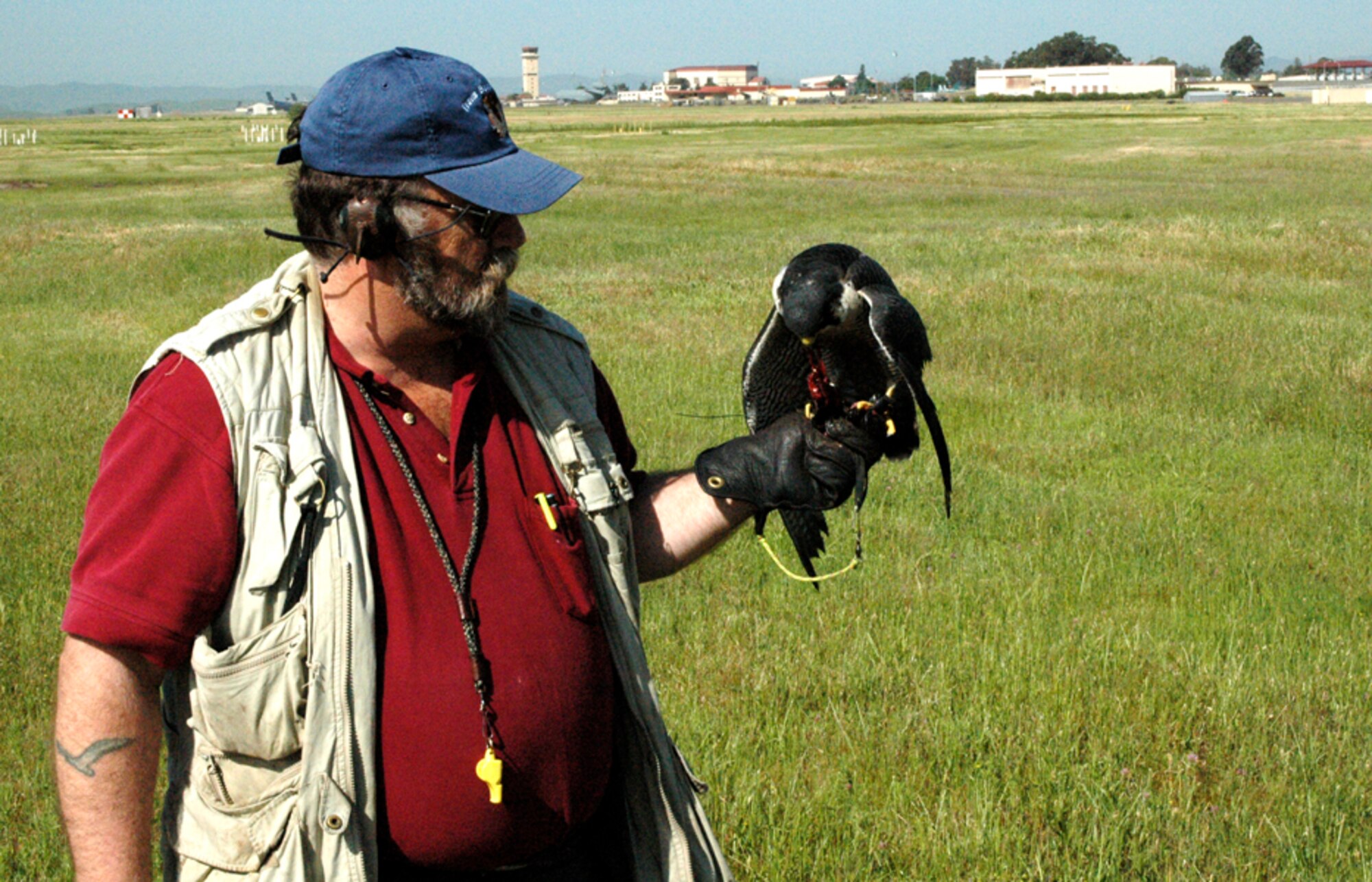 Mr. Greg Burdick gives Austin some quail after completing his practice flight.  The WBS purchases quail from a local breeder who raises them for consumption. Quail are natural prey for the falcons. (U.S. Air Force photo by Staff Sgt. Raymond Hoy)

