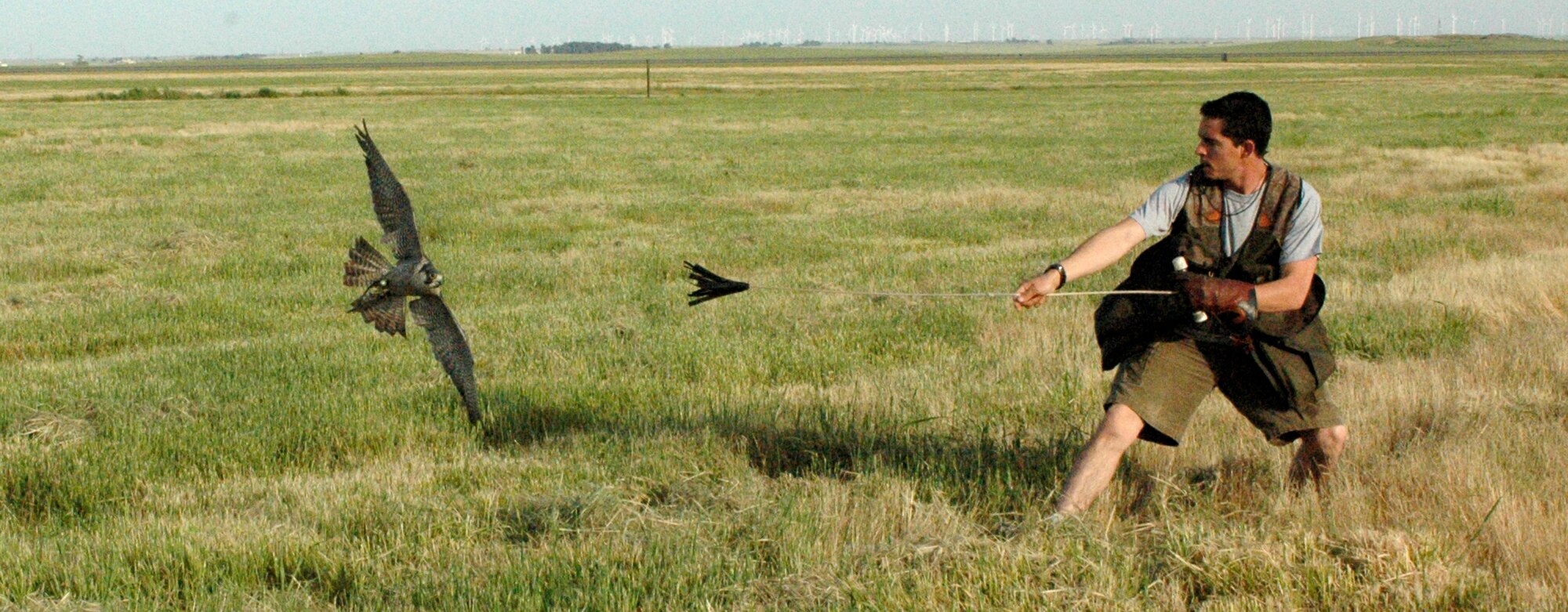 Mr. Mike Bierman takes Sonjia out for a practice flight. During the long days of summer, the falconers must split the birds’ flight times between the morning and early evening. The World Bird Sanctuary has 14 birds assigned to Travis. There are a variety of species, including desert birds and even local species.  The variety of birds allows the WBS to choose different birds for different seasons and climates. “It allows us to give some of the different birds a rest,” said Mr. Bierman. Mr. Bierman has been a part of the Travis BASH program for more than six years.  He has been a falconer for more than 14. (U.S. Air Force photo by Staff Sgt. Raymond Hoy)