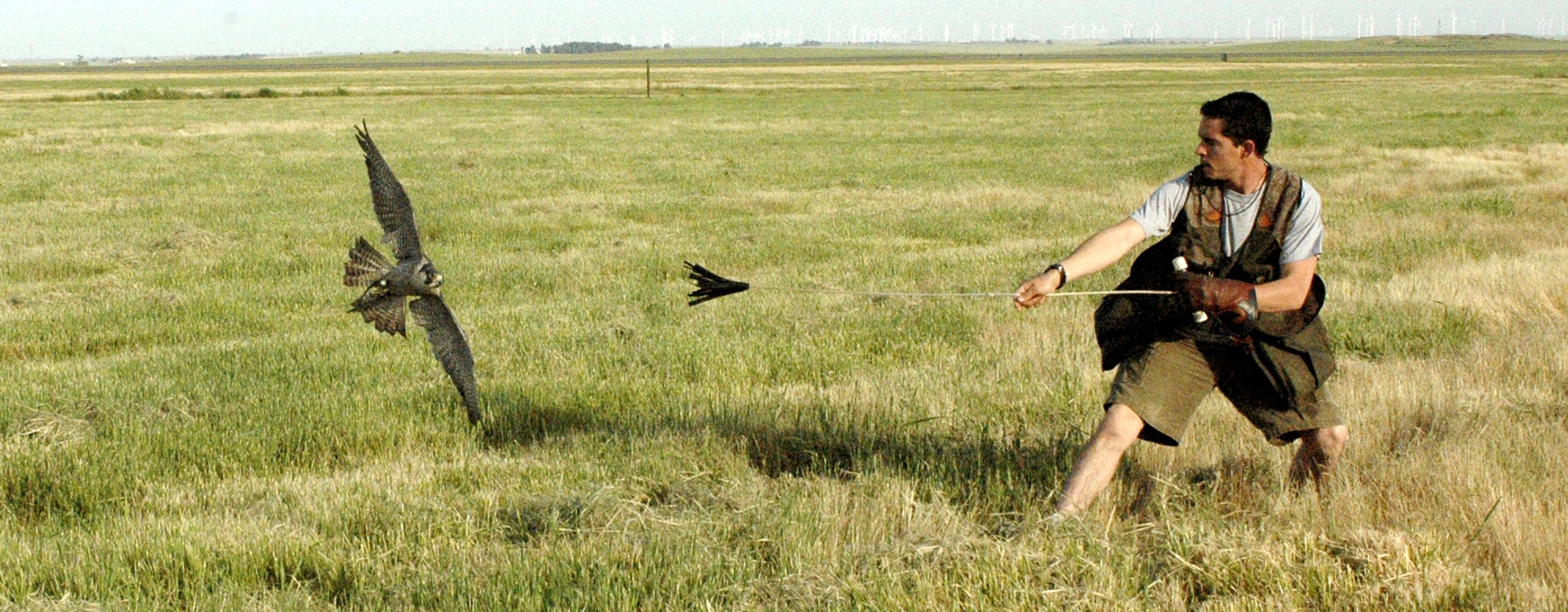 Mr. Mike Bierman takes his falcon, Sonjia, out for a practice flight. The World Bird Sanctuary has 14 birds assigned to Travis Air Force Base, Calif. as part of the base's Bird/Wildlife Aircraft Strike Hazard program. Mr. Bierman has been a part of the base's program for more than six years. He has been a falconer for more than 14 years. (U.S. Air Force photo/Staff Sgt. Raymond Hoy)