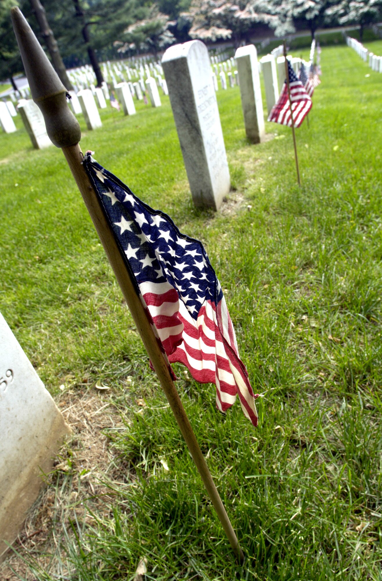 Soldiers, Sailors, Airmen and Marines from across the Washington D.C. area joined forces to place more than 227,000 flags at the front of headstones at Arlington National Cemetery on Thursday, May 25, 2006. The flags will remain at the headstones through Memorial Day. (U.S. Air Force photo/Master Sgt. Jim Varhegyi)