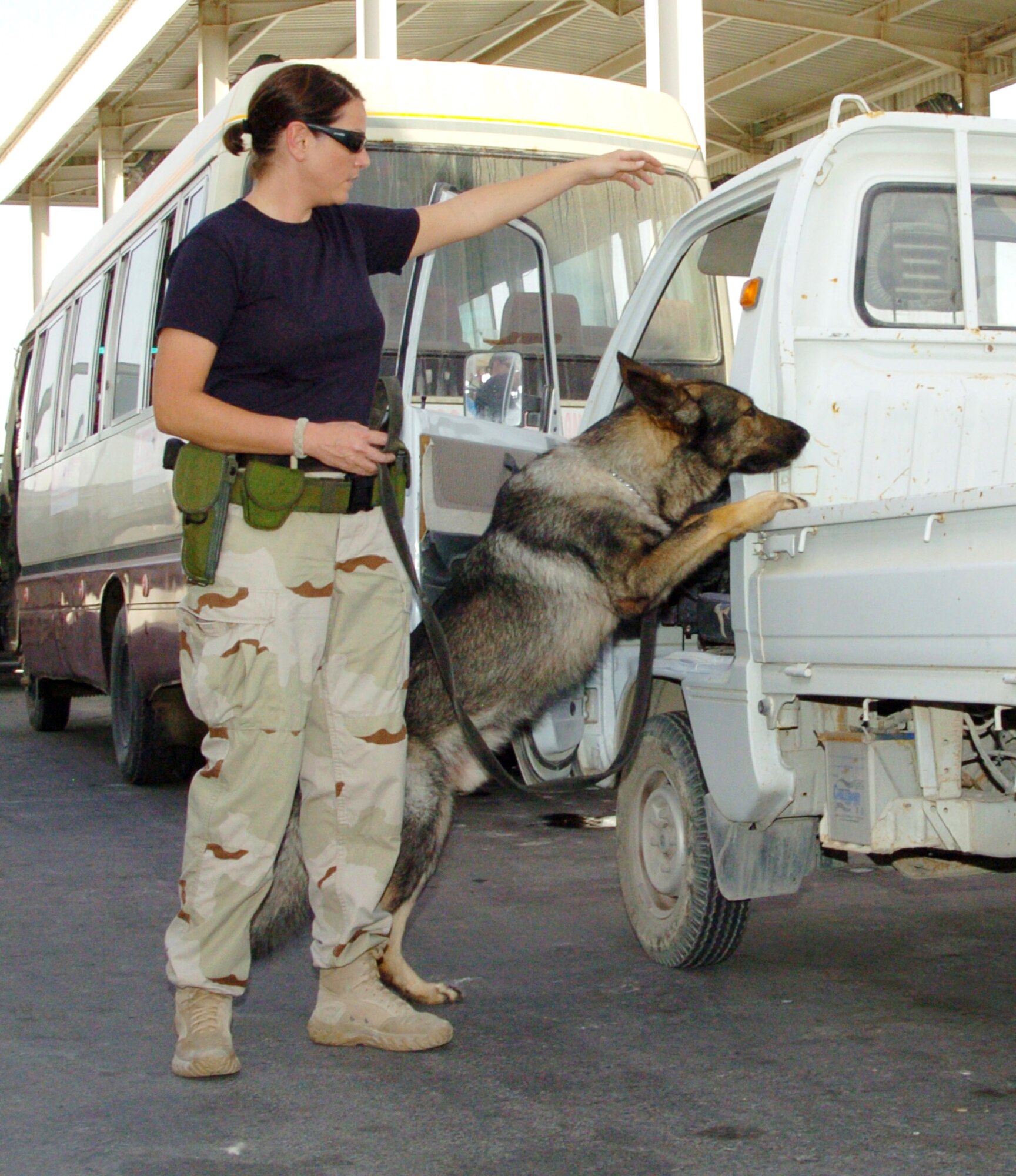 Staff Sgt. Kristen Romani and her military working dog, Dak, inspect a vehicles at a deployed location in Southwest Asia on Saturday, May 20, 2006. All vehicles must be cleared before being granted access to the base. Sergeant Romani is assigned to the 380th Expeditionary Security Forces Squadron. (U.S. Air Force photo/Master Sgt. Stan Coleman)
