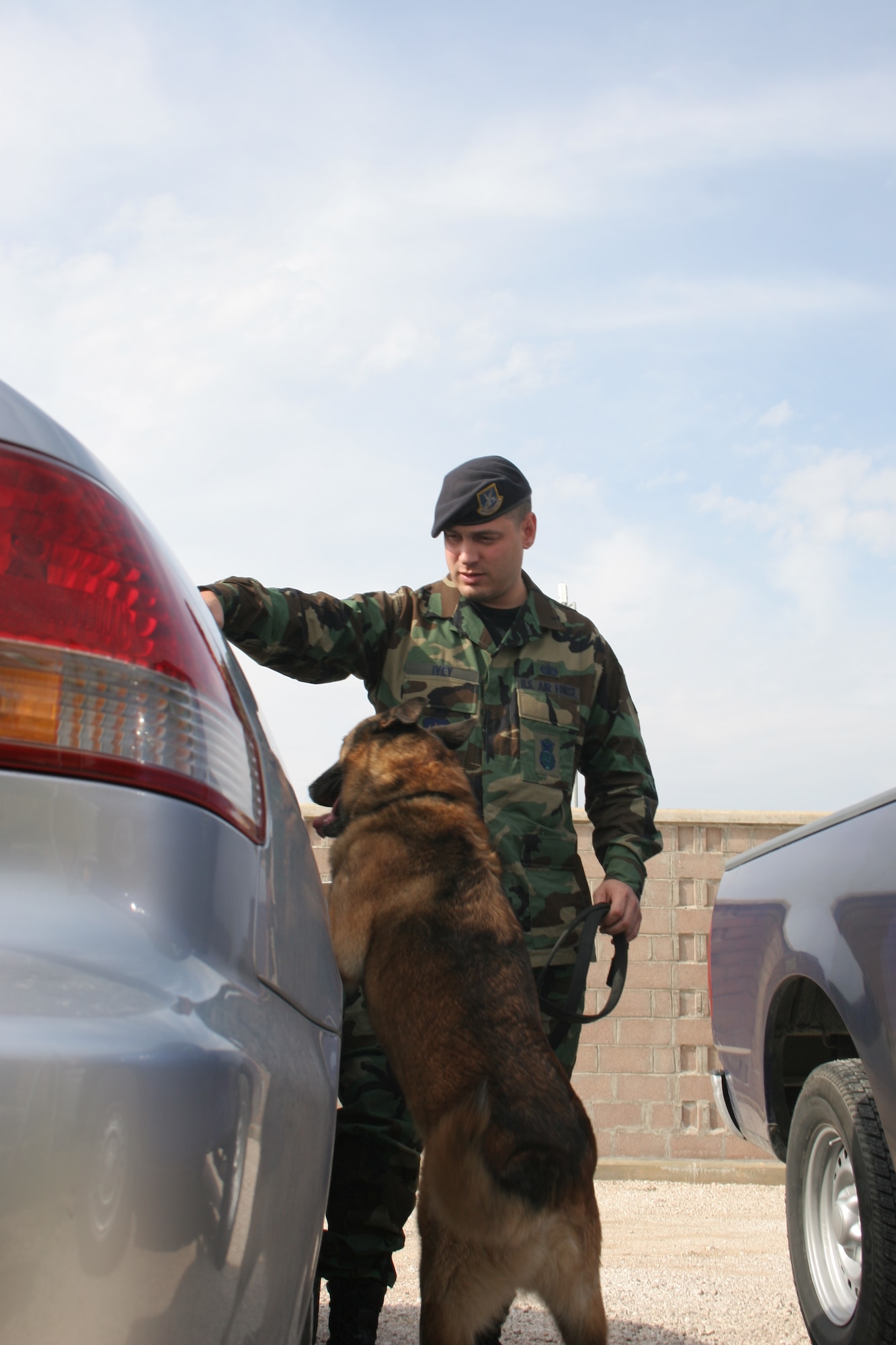 Staff Sgt. Alonzo Ivey, 39th Security Forces Squadron military working dog handler, does a vehicle check with his partner Robby Oct. 31. Robby has been working with the Air Force for more than 10 years. Robby, like all military working dogs have an important job of checking for contraband on vehicles and places. (U.S. Air Force photo by Senior Airman Patrice Clarke)
