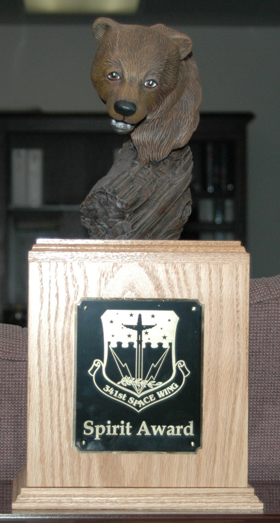The newest award to be incorporated into the Quarterly Awards ceremony is the Spirit Award. The trophy, which is intended to be transformed by the winner each quarter, is shown in its infant stage. Winners are to add something relevant to their organization without destroying what is already attached before passing it on to the next quarterly winner.