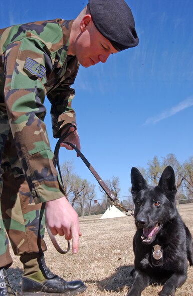 Sergeant Odell tests Cini’s ability to follow commands.(Photo by Frank McIntyre)
