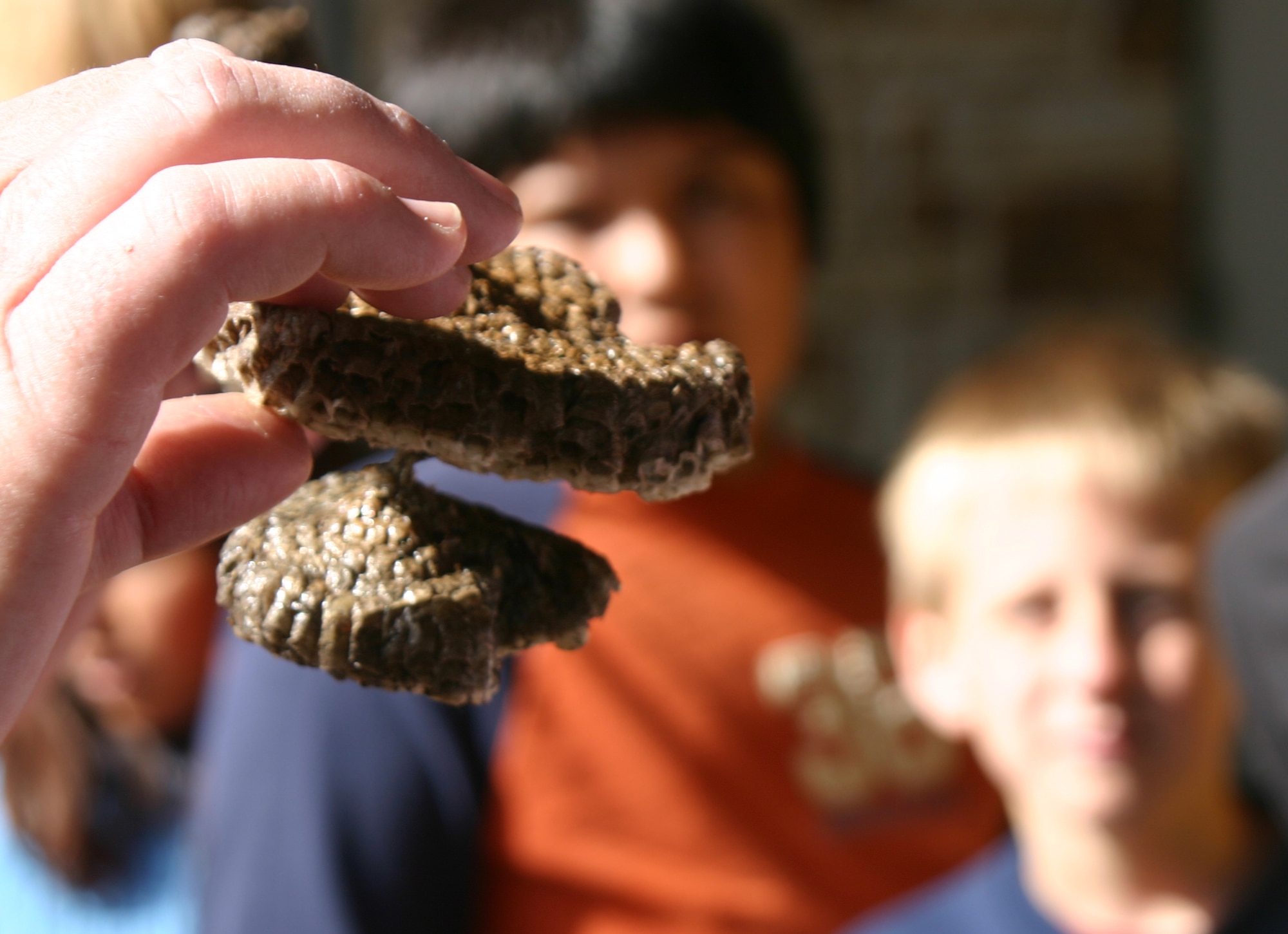 A rarity anywhere, Tim Hunter, of the 82nd Civil Engineer Squadron’s Environmental Flight, shows a group of students from area elementary schools a two-tiered wasp nest he found a few years ago. (U.S. Air Force photo/John Ingle).