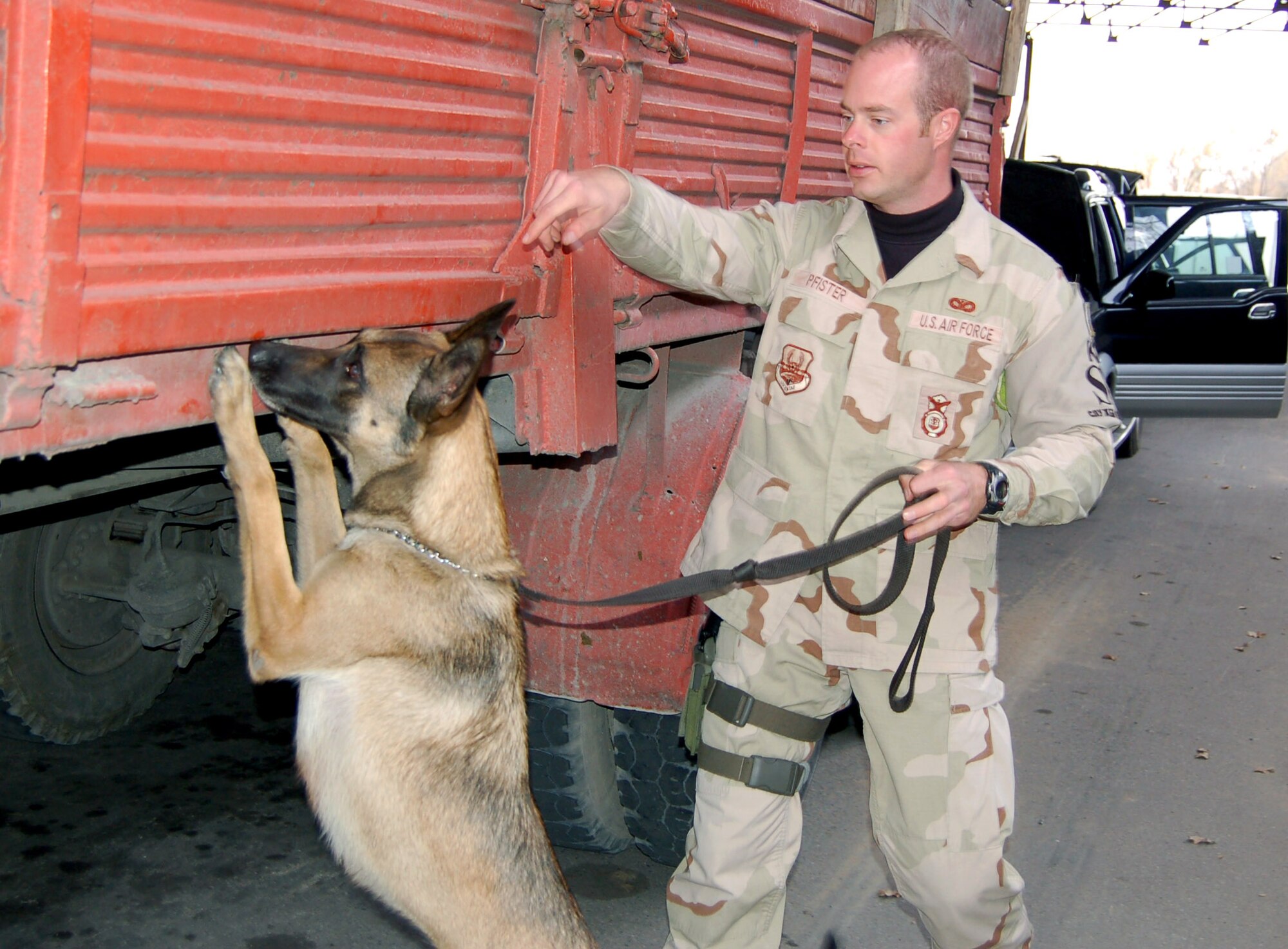 Staff Sgt. Scott Pfister and Ffella, his 4-year-old female Belgian Malinois, search a truck at Manas Air Base, Kyrgyzstan. Sergeant Pfister, a military working dog handler with the 376th Expeditionary Security Forces Squadron, and Ffella have worked together more than two years. They are deployed from the 9th SFS at Beale Air Force Base, Calif. Ffella gets her unique name from the Air Force's dog breeding program at Lackland AFB, Texas. All dogs bred through the program are identified with a double first letter in their name. (U.S. Air Force photo/Master Sgt. Mitch Gettle) 