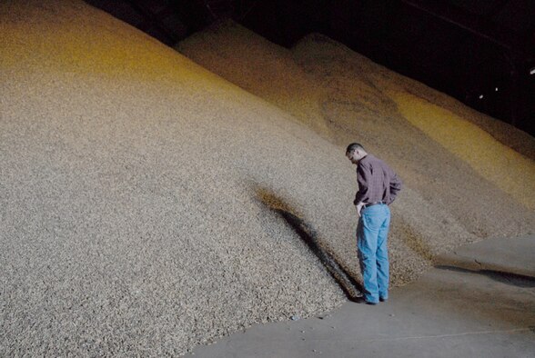 Col. Michael Mendonca, 97th Air Mobility Wing vice commander, surveys the mountains of peanuts inside the warehouse at the Altus Peanut Company during the Farm City Week tour Nov. 8.  The Altus Chamber of Commerce hosts the annual tours to introduce members of the base to the agri-business sector of the local community.  The Altus peanut company dries approximately 2,000 tons of peanuts every year for farmers throughout the area. (U.S. Air Force photo by Airman Rebecca Dickens)