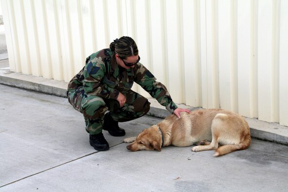 Tech. Sgt. Stephanie Carpino, the 385th Air Expeditionary Group deployed vehicle control officer, visits with KC, the mascot of the 90th Expeditionary Maintenance Squadron. (U.S. Air Force photo by Senior Airman Robbie Finley)