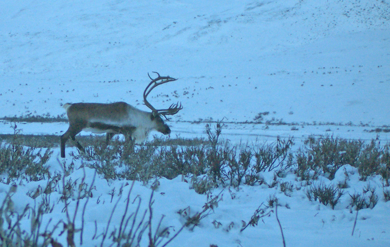 caribou air force station