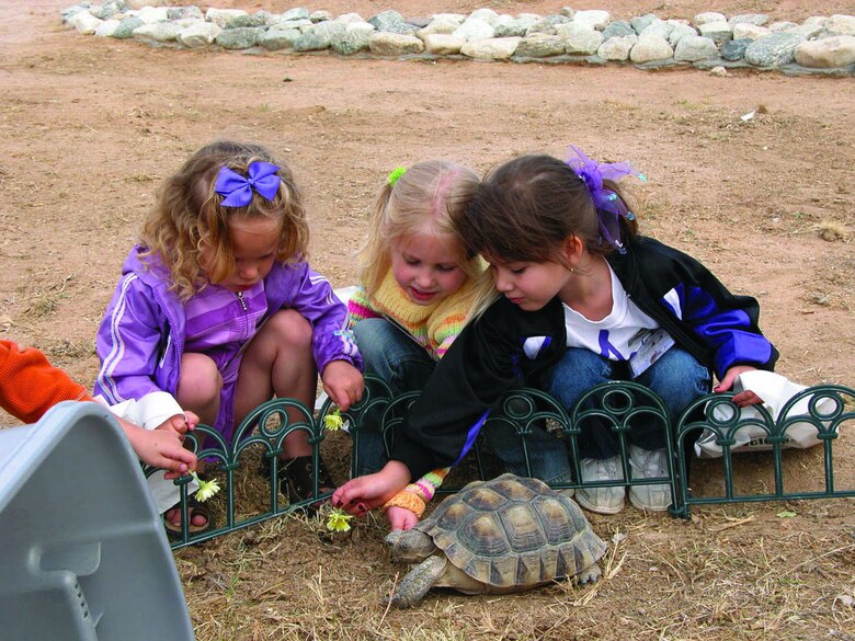 Three girls learn about the desert tortoise at the 2005 Edwards Earth Day celebration. Environmental Management hosted the annual Edwards Earth Day celebration, April 20, 2006, in the base exchange parking lot.  (Courtesy photo)