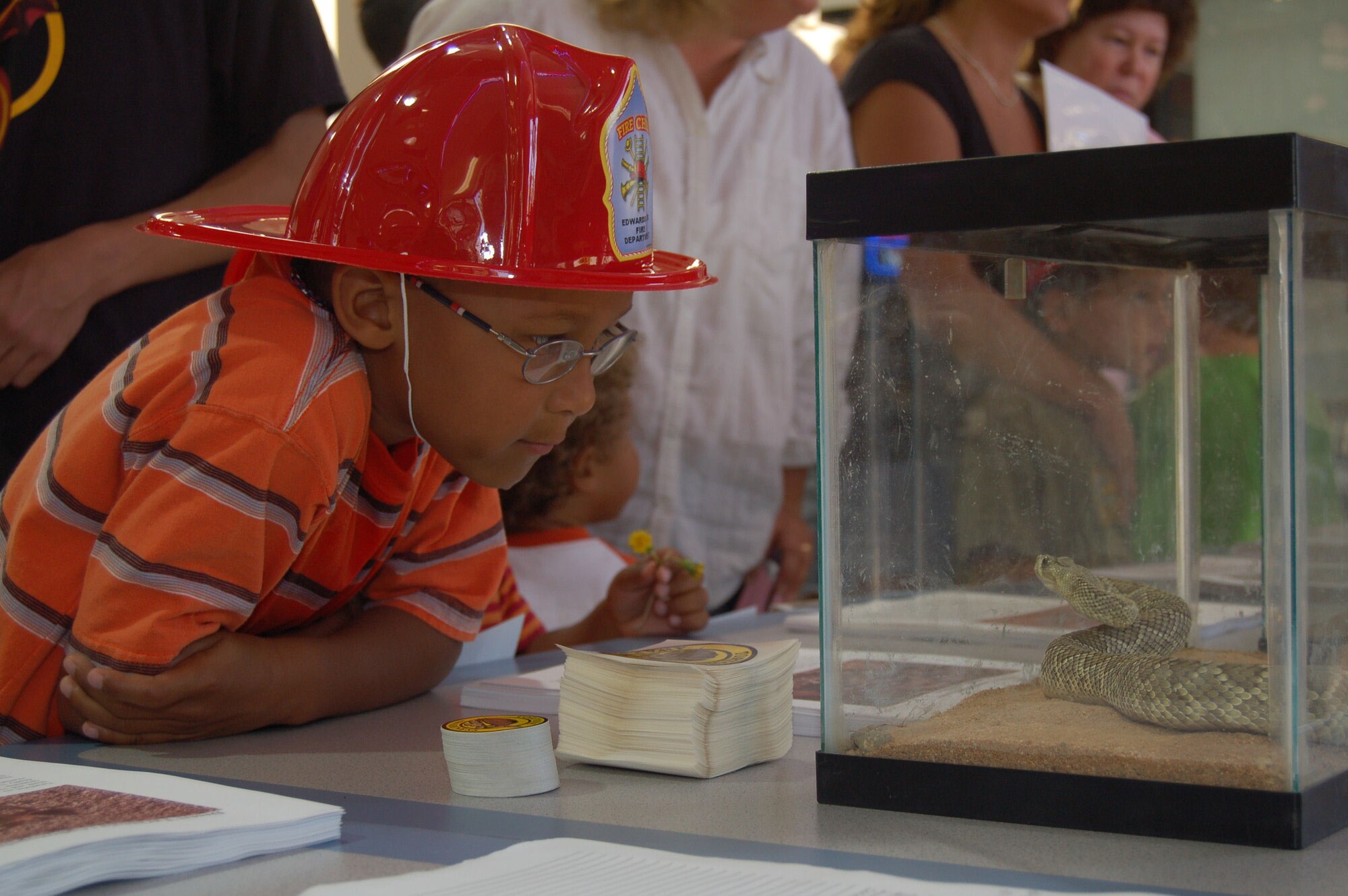 Sebastian Wilson, 7, observes a Mojave Green Rattlesnake during Desert Safety Day at the Base Exchange food court Aug. 2, 2006.   (Photo by Airman 1st Class Julius Delos Reyes)