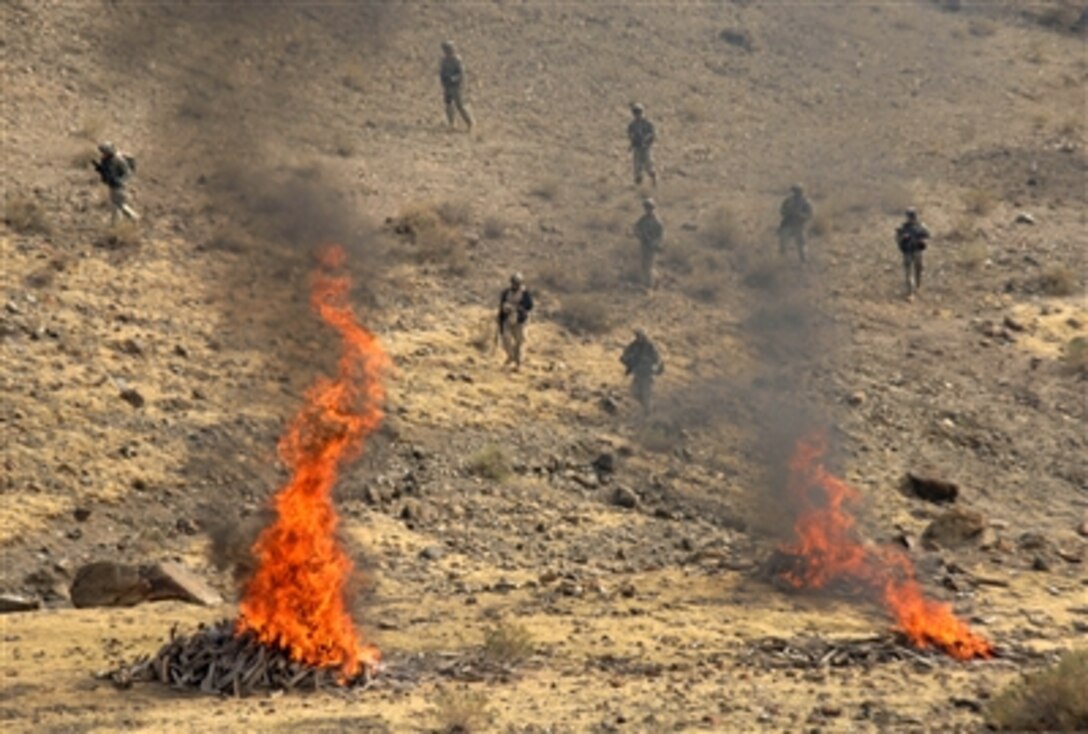 U.S. Army soldiers walk through a field after setting fire to caches of supplies and weapons in the Paktika province of Afghanistan Nov. 10, 2006.  The Soldiers are assigned to the 10th Mountain Division's Company B, 2nd Battalion, 87th Infantry Regiment.