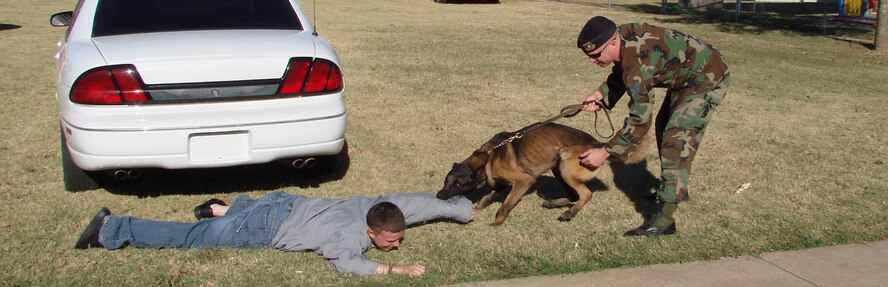 (Photo by Frank McIntyre) Eukay, held by Staff. Sgt. Andrew O’Dell, doesn’t react as friendly to Senior Airman Eliot Mitchell, during the working dog demonstration put on by the three 71st  Security Forces Squadron members.
