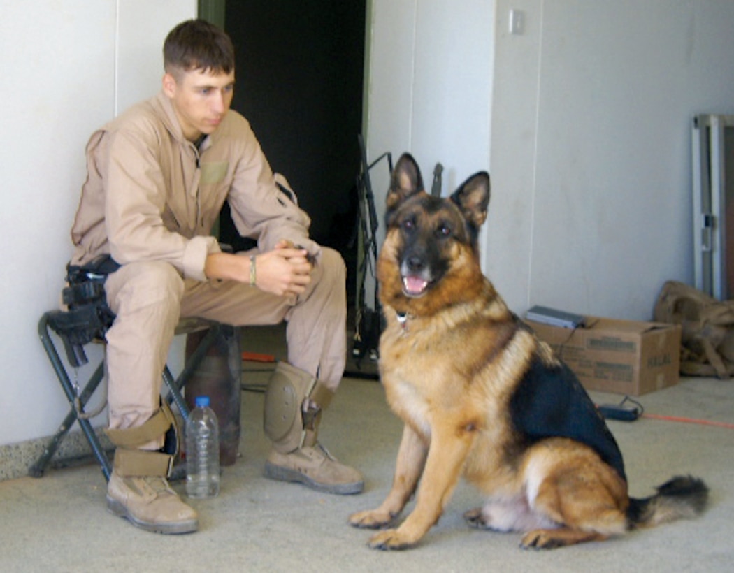 Cpl. Dustin J. Lee, military police working dog handler, takes a break with his K-9 partner, Lex, during operations in Iraq in 2007.  Lee was killed and Lex was wounded in a 73 mm rocket attack, March 21, 2007.  Later that year, Lex was adopted by Lee’s parents, Jerome and Rachel.