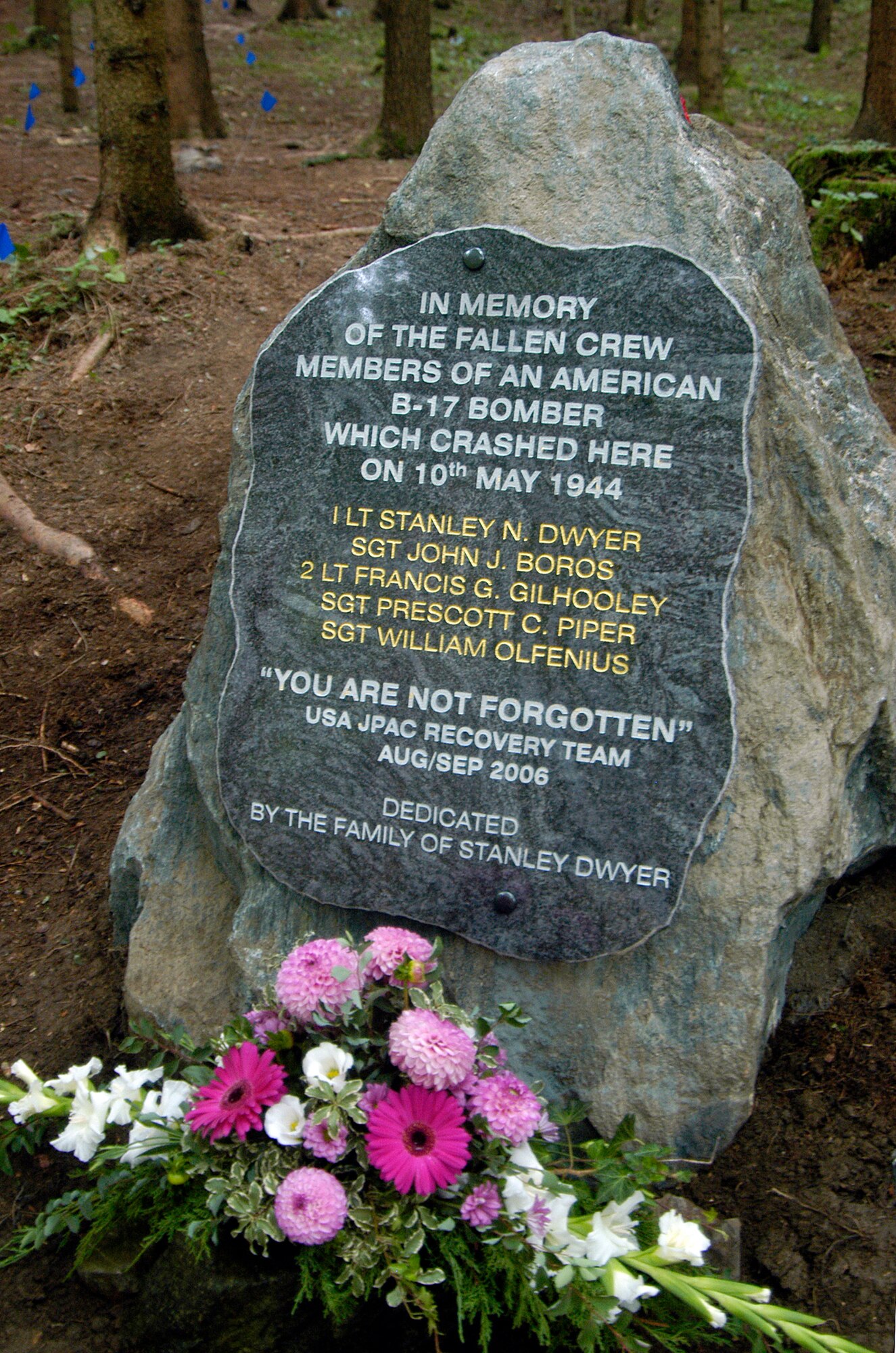 A memorial stone near the Vostenhof, Austria, site of a B-17 bomber crash recognizes the sacrafice of the crew. The stone was placed by 1st Lt. Stanley Dwyer's family, who were in Austria to witness the excavation of the crash site and attend a memorial service Aug. 27. An 18-member JPAC team, including a forensic anthropologist, explosive ordnance disposal technician and field medic, from Hickam Air Force Base, Hawaii, returned Oct. 1 after 45 days in Austria attempting to recover the remains of 1st Lt. Stanley Dwyer and gunner Sgt. John Boros who were lost in the crash May 10, 1944. The mission of JPAC is to achieve the fullest possible accounting of all Americans missing as a result of the nation's past conflicts. (U.S. Air Force photo/Staff Sgt. Derrick C. Goode) 