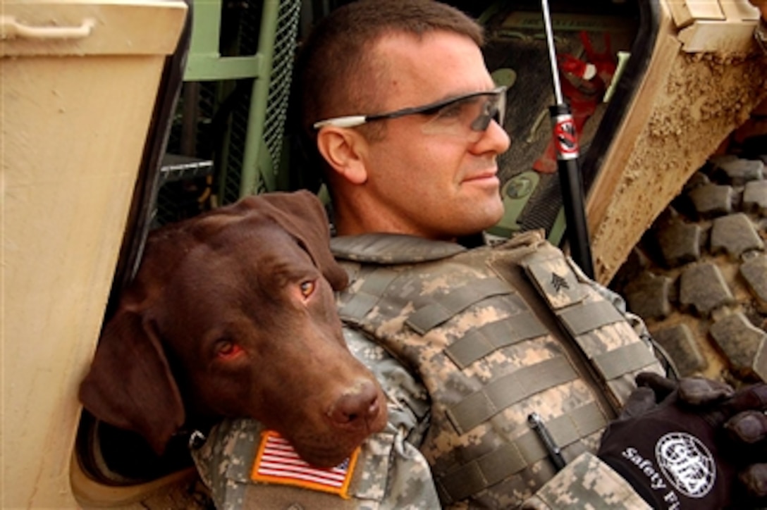 A soldier from the 549th Military Police Company takes a rest with his dog during Operation Medusa in Mosul, Iraq. Iraqi Security Forces and soldiers with the MP Company conducted the operation, Oct. 7, 2006. 

