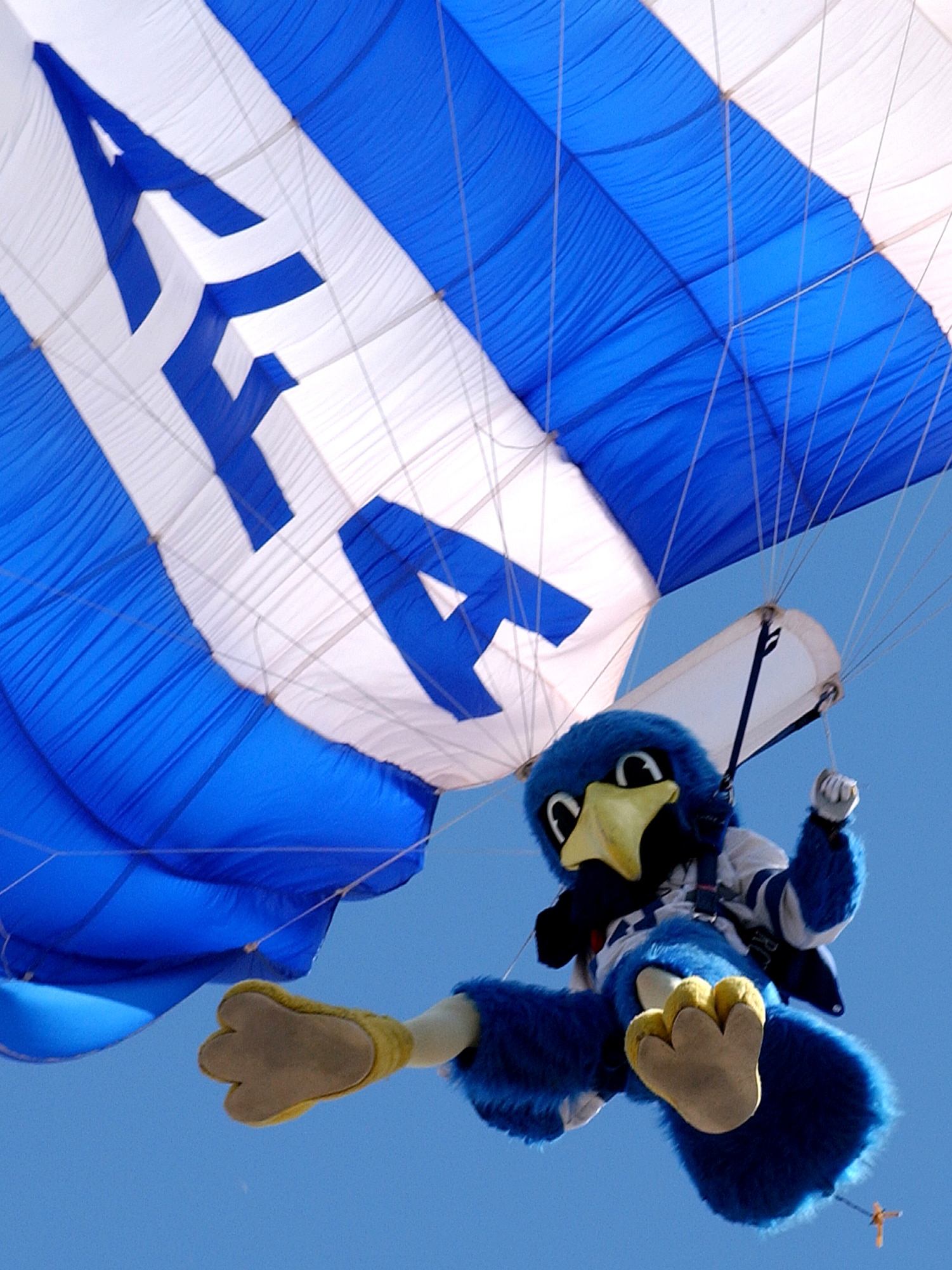 The U.S. Air Force Academy mascot, "The Bird," completes a parachute jump. "The Bird" is among the competitors in "Fur Factor," the Capital One Bowl Mascot of the Year competition this football season. (U.S. Air Force photo/Danny Meyer)