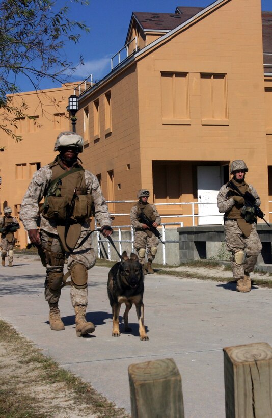 Marines walk back to their unit after finishing a patrol here Oct. 25. Five Marines with K9 platoon, Military Police Battalion, Combat Logistics Regiment 27, 2nd Marine Logistics Group, attached to 2nd Battalion, 6th Marine Regiment, 2nd Marine Division learned how to patrol, enter buildings, clear rooms and maintain themselves in an urban environment during a Basic Urban Skills Training course here, Oct. 23-27.