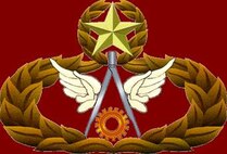 916th Civil Engineer Squadron Badge